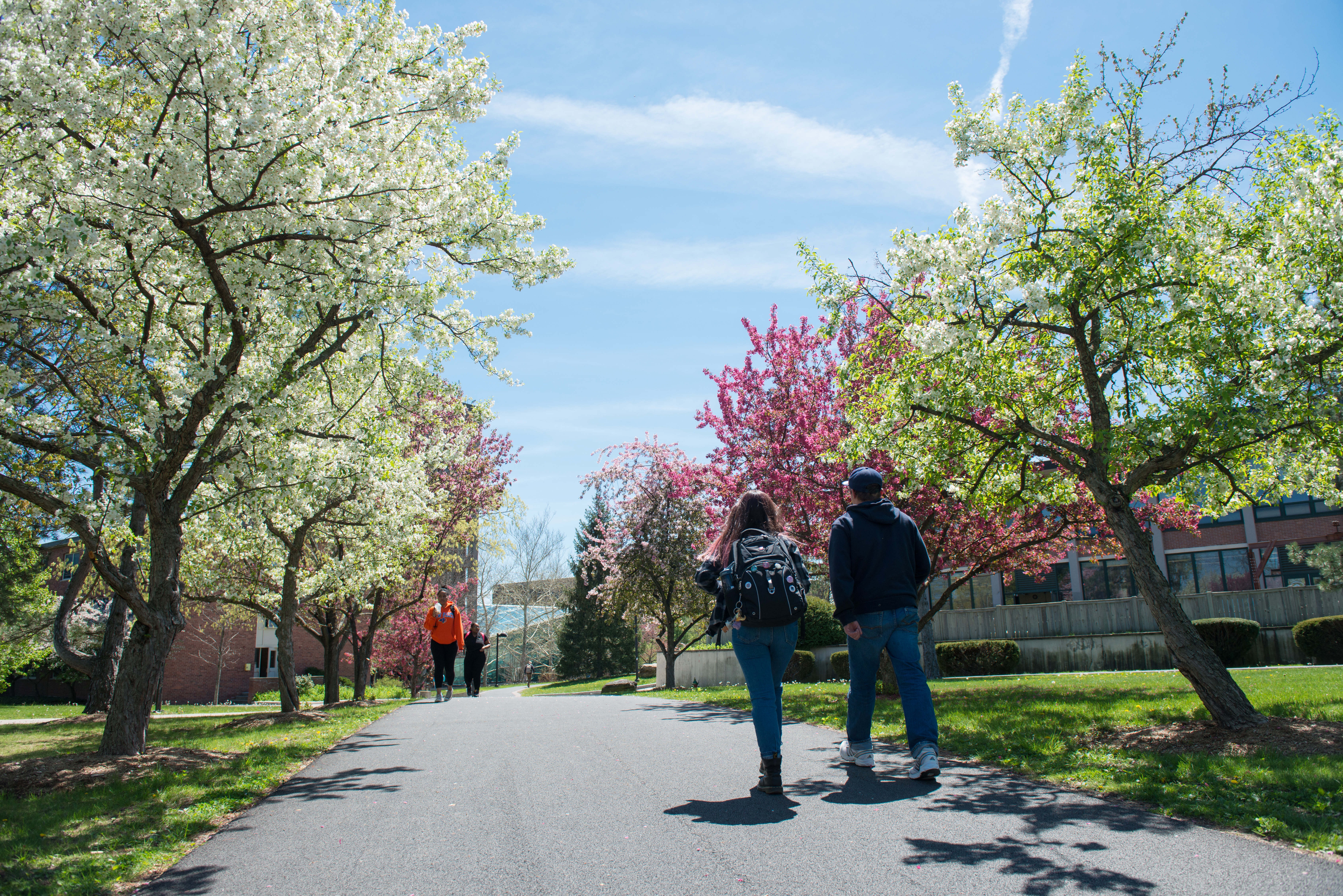 Summer-spring campus